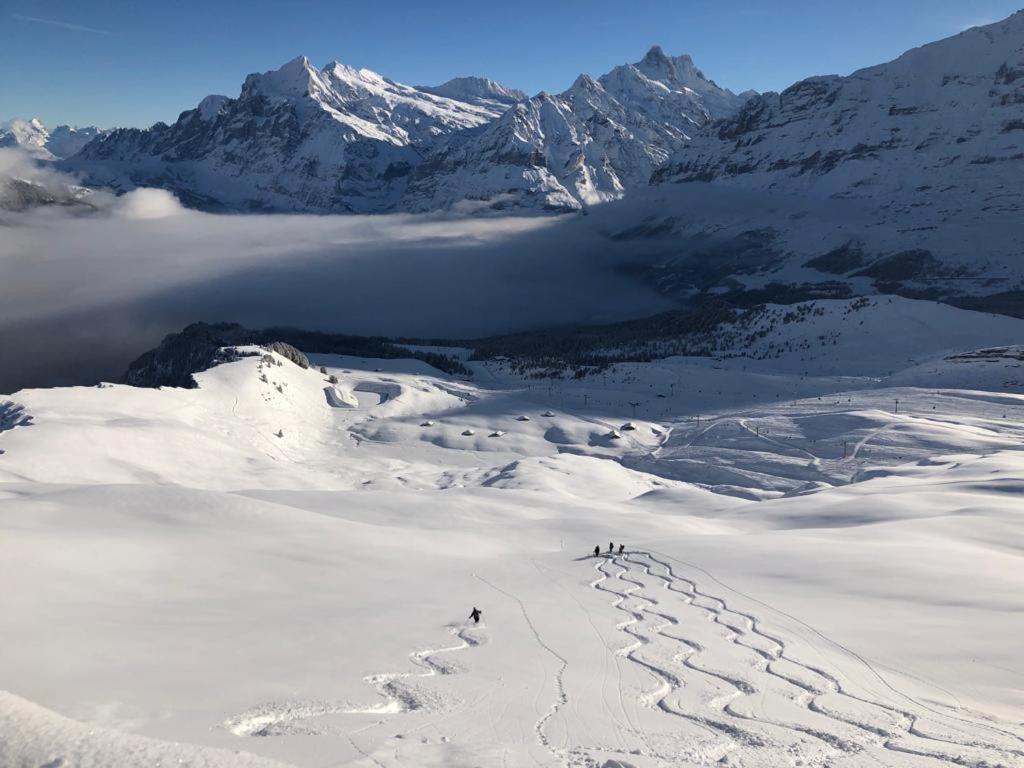 Chalet Caramelle Grindelwald Exterior foto