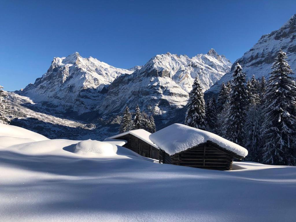 Chalet Caramelle Villa Grindelwald Exterior foto