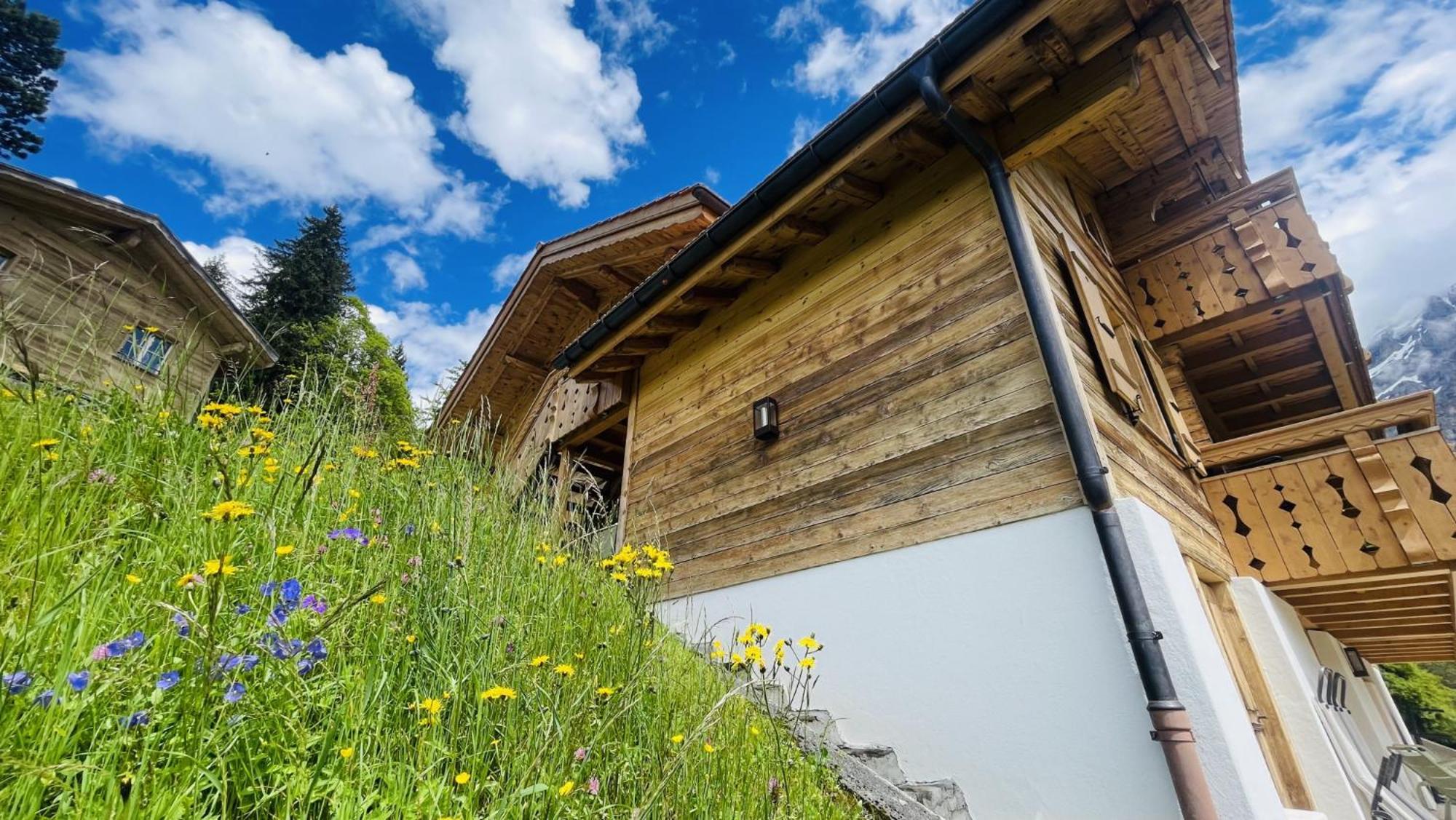 Chalet Caramelle Villa Grindelwald Exterior foto